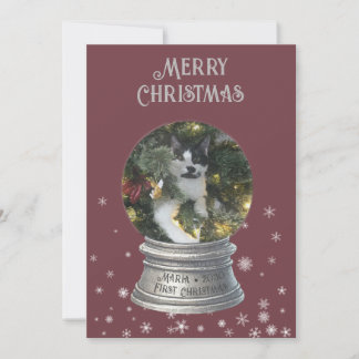 Red Snowglobe Snowflake Foto Flat Holiday Kaart