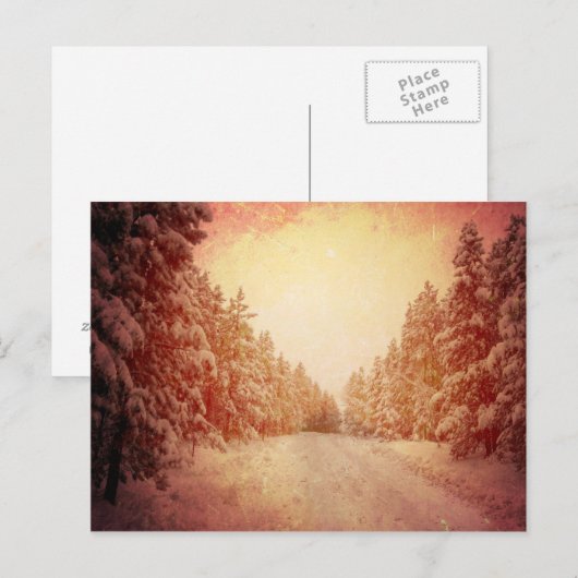 Red Snowy Road, Conifer, CO Briefkaart (Voorkant / Achterkant)