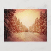 Red Snowy Road, Conifer, CO Briefkaart (Voorkant)