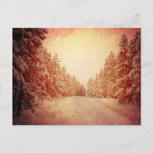Red Snowy Road, Conifer, CO Briefkaart (Voorkant)