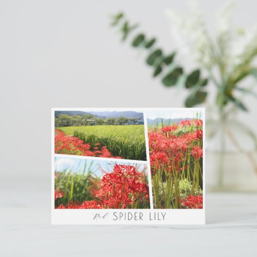 Red Spider Lily Briefkaart (Staand voorkant)