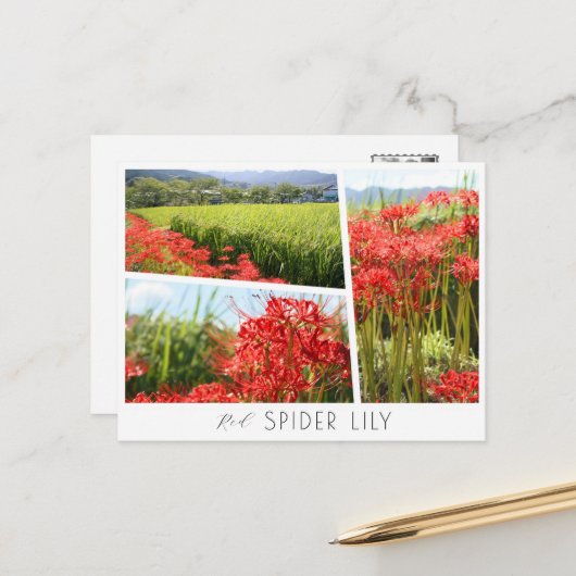 Red Spider Lily Briefkaart (Voorkant / Achterkant in situ)