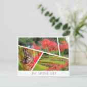 Red Spider Lily Briefkaart (Staand voorkant)