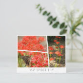 Red Spider Lily Briefkaart (Staand voorkant)