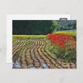 Red Spider Lily Briefkaart (Voorkant / Achterkant)