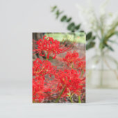 Red Spider Lily :Briefkaart Briefkaart (Staand voorkant)