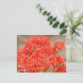 Red Spider Lily :Briefkaart Briefkaart (Staand voorkant)