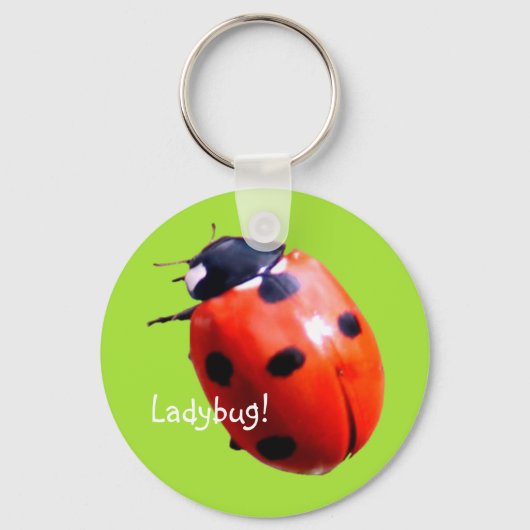 Red Spotted Ladybug Sleutelhanger (Voorkant)