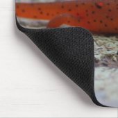 Red Spotted Newt mousepad Muismat (Hoek)
