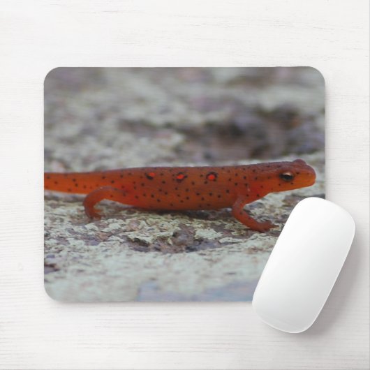 Red Spotted Newt mousepad Muismat (Met muis)