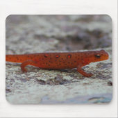 Red Spotted Newt mousepad Muismat (Voorkant)