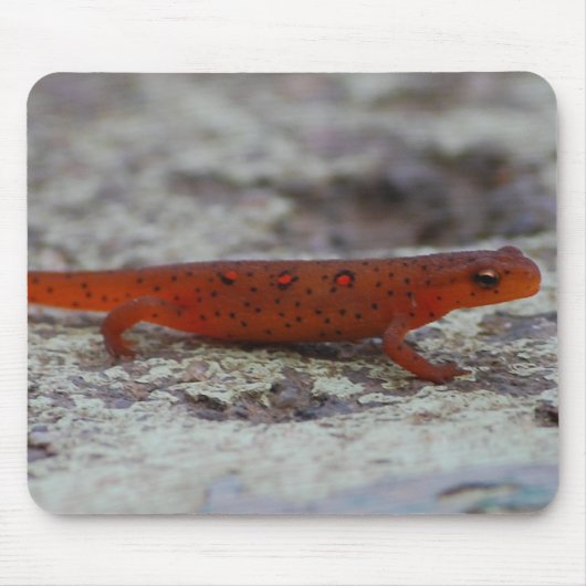 Red Spotted Newt mousepad Muismat (Voorkant)