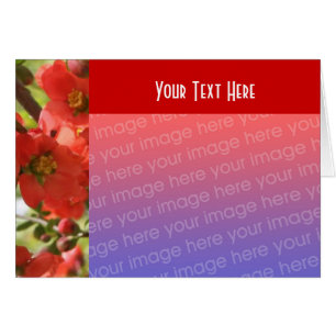 Red Spring Blossom Floral-fotokaart