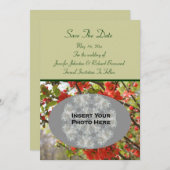 Red Spring Blossoms Wedding Photo  Save The Date (Voorkant / Achterkant)