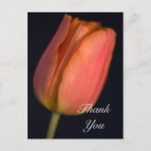 Red Spring Tulip Dank je Briefkaart (Voorkant)