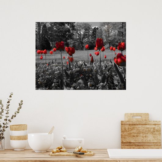Red Spring Tulips Poster (Keuken)
