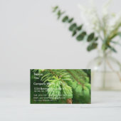 Red Spruce Sprouts Visitekaartje (Staand voorkant)