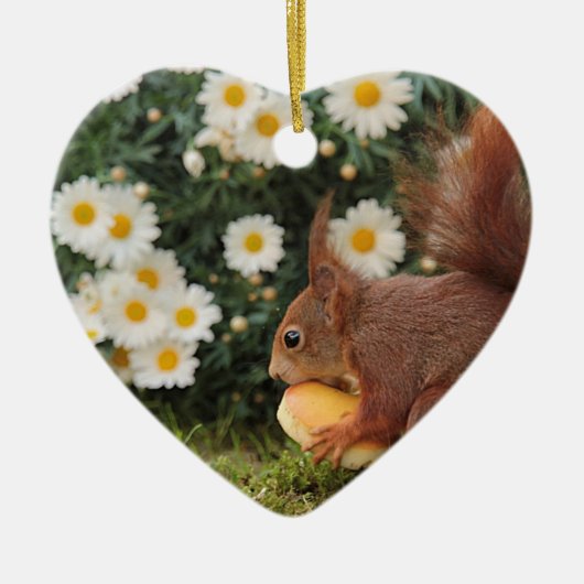 Red Squirrel and Daisies Cute Photo Keramisch Ornament (Voorkant)