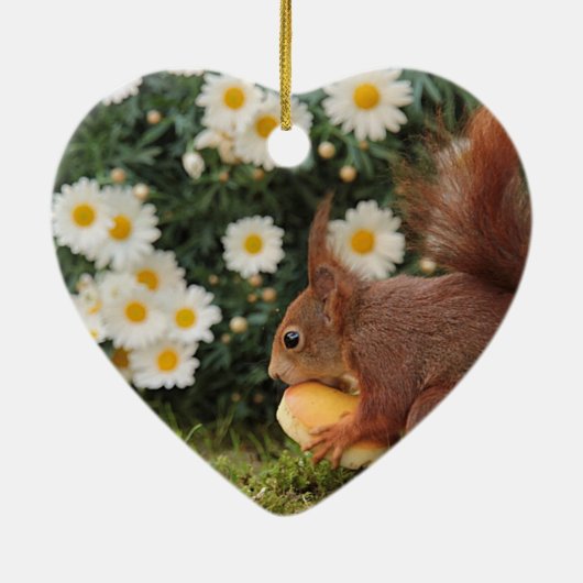 Red Squirrel and Daisies Cute Photo Keramisch Ornament (Achterkant)
