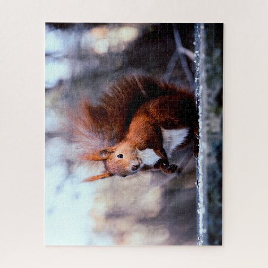 Red Squirrel Close up, Jigzaag Puzzle Legpuzzel (Verticaal)