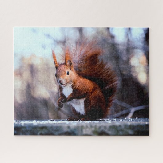 Red Squirrel Close up, Jigzaag Puzzle Legpuzzel (Horizontaal)