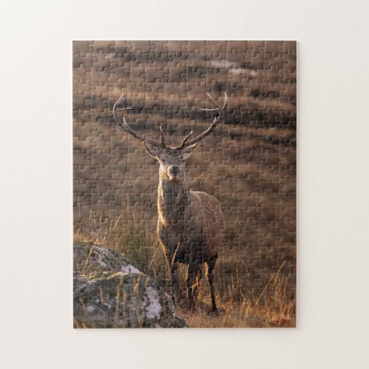 Red Stag Puzzle/Jigzaag Legpuzzel (Verticaal)