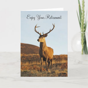 Red Stag Retirement Kaart