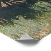 Red Stagecoach Funny Poster (Hoek)