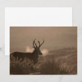 Red Stags Invitation Kaart (Voorkant / Achterkant)