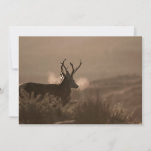 Red Stags Invitation Kaart