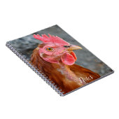 Red Star Chicken Hen Foto Notitieboek (Rechterzijde)