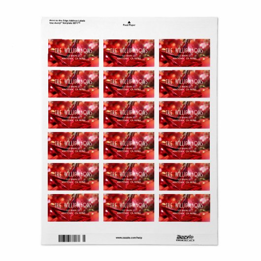 Red Star Ornament kerstadres Etiket (Full Sheet)