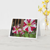 Red Star Petunia-bloemen Kaart (Gele Bloem)