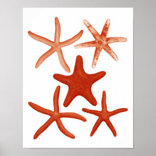 Red Starfish no.1 Beach Decor Wall Art Poster