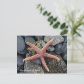 Red Starfish, Unalaska Island Briefkaart (Staand voorkant)
