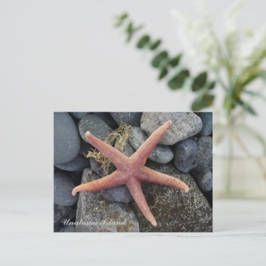 Red Starfish, Unalaska Island Briefkaart (Staand voorkant)