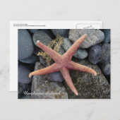 Red Starfish, Unalaska Island Briefkaart (Voorkant / Achterkant)