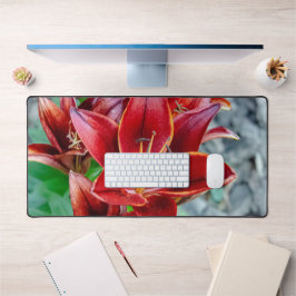 Red Stargazer Lily Flower, Canadian Photography Bureaumat