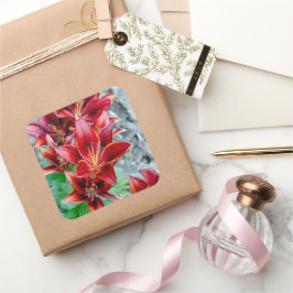 Red Stargazer Lily Flower, Canadian Photography Vierkante Sticker