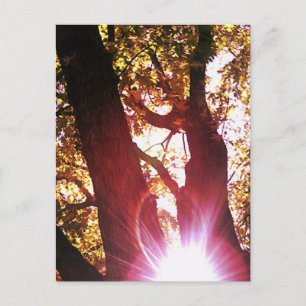 Red Sun Gprong Briefkaart