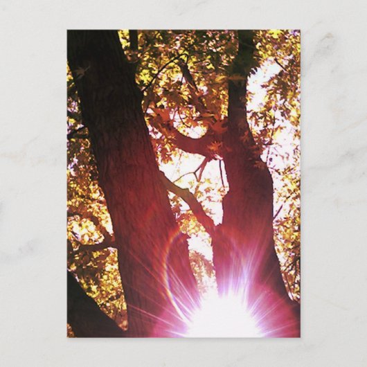 Red Sun Gprong Briefkaart (Voorkant)