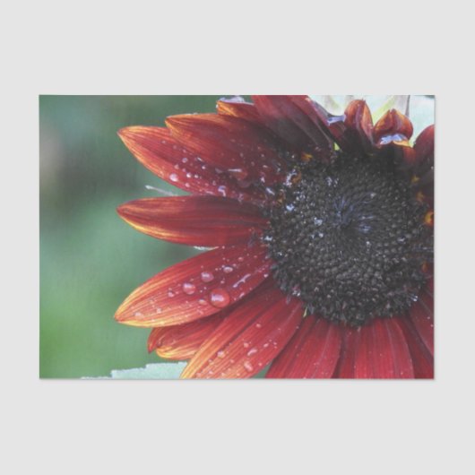 Red Sunflower Green Background Tissuepapier (Voorkant)