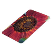 Red Sunflower Magnet Magneet (Linkerzijde)