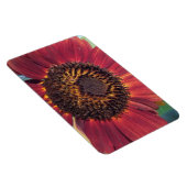 Red Sunflower Magnet Magneet (Rechterzijde)