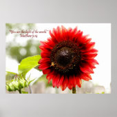 Red Sunflower Poster met Matthew 5:14 Bijbelverse (Voorkant)