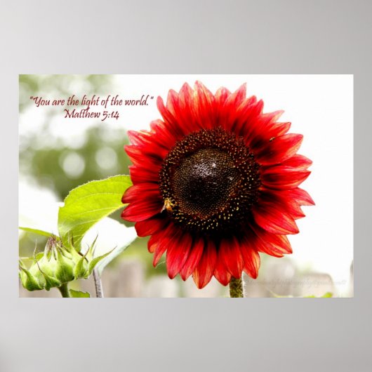 Red Sunflower Poster met Matthew 5:14 Bijbelverse (Voorkant)