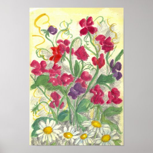 Red Sweet Pea Daisy Waterverf Garden Drawing Poster (Voorkant)