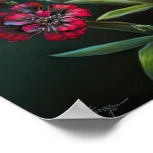 Red Sweet William Flower Art Print Poster (Hoek)