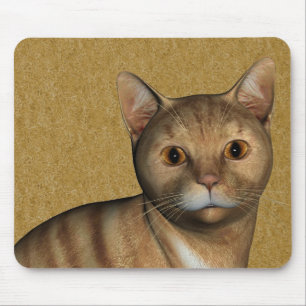 Red Tabby Cat Muismat