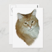 Red Tabby Maine Coon Briefkaart (Voorkant / Achterkant)